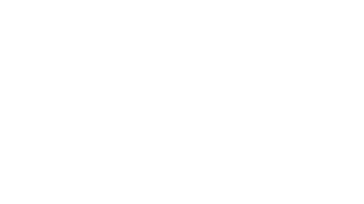 The Escape Game